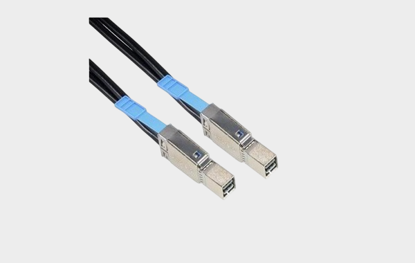 CS-SASMINIHD2-001